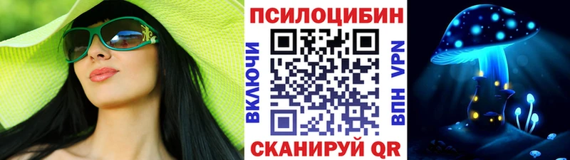 Псилоцибиновые грибы Cubensis  Тосно 