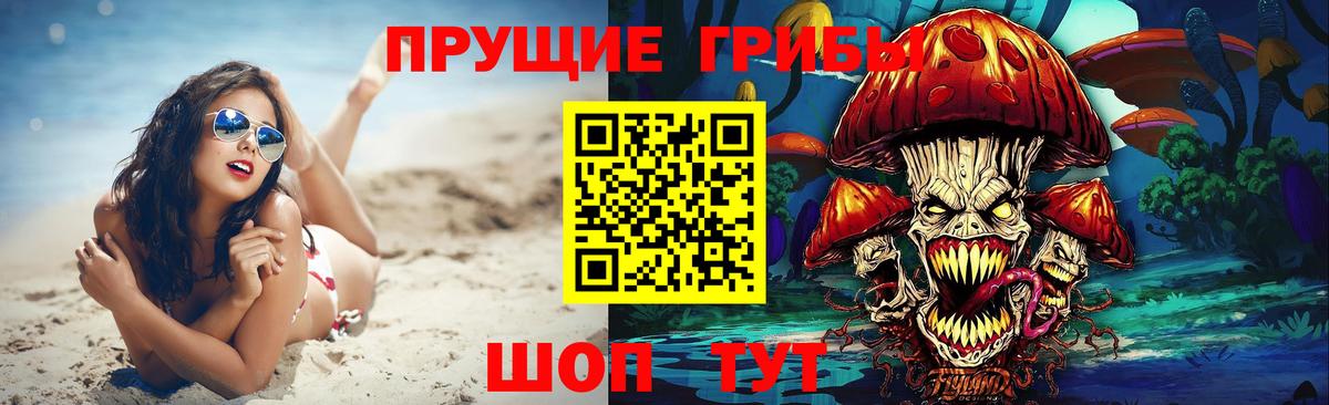 Тосно  Галлюциногенные грибы Psilocybine cubensis  Вход с VPN 